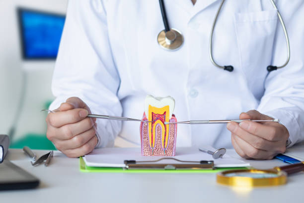 Best Emergency Dental Care for Broken or Chipped Teeth in Home Gardens, CA